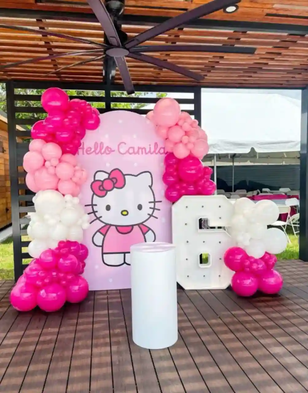 Hello Camila's Sixth Birthday Celebration Set